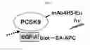 Fig. 03 - Fibronectin based scaffold domain proteins that bind PCSK9