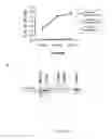 Fig. 07 - IMMUNOTHERAPY AND DIAGNOSIS OF MUCORMYCOSIS USING COTH