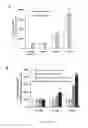 Fig. 09 - IMMUNOTHERAPY AND DIAGNOSIS OF MUCORMYCOSIS USING COTH
