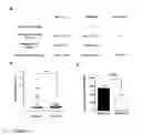 Fig. 04 - Anti-S100A4 antibody molecules and their uses