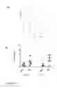 Fig. 11 - Anti-S100A4 antibody molecules and their uses