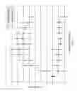 Fig. 05 - Anti-C5a antibodies