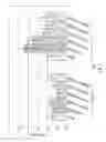 Fig. 08 - Anti-C5a antibodies