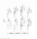 Fig. 14 - Anti FGF23 antibody and a pharmaceutical composition comprising the same