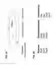 Fig. 04 - Methods of producing two chain proteins in bacteria