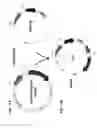 Fig. 12 - Methods of producing two chain proteins in bacteria