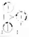Fig. 17 - Methods of producing two chain proteins in bacteria