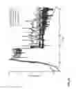 Fig. 22 - Methods of producing two chain proteins in bacteria