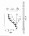 Fig. 17 - Methods of inhibiting growth of a colon cancer tumor in a subject by administering monoclonal antibodies to G protein-coupled receptor 49 (GPR49)