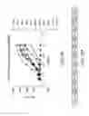 Fig. 18 - Methods of inhibiting growth of a colon cancer tumor in a subject by administering monoclonal antibodies to G protein-coupled receptor 49 (GPR49)