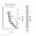 Fig. 21 - Methods of inhibiting growth of a colon cancer tumor in a subject by administering monoclonal antibodies to G protein-coupled receptor 49 (GPR49)