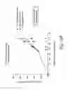 Fig. 32 - Methods of inhibiting growth of a colon cancer tumor in a subject by administering monoclonal antibodies to G protein-coupled receptor 49 (GPR49)