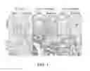 Fig. 02 - Cancer stem cell-specific molecule