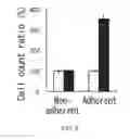 Fig. 06 - Cancer stem cell-specific molecule