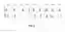 Fig. 07 - Cancer stem cell-specific molecule