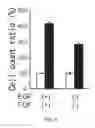 Fig. 10 - Cancer stem cell-specific molecule
