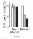 Fig. 11 - Cancer stem cell-specific molecule