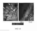 Fig. 16 - Cancer stem cell-specific molecule
