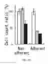Fig. 23 - Cancer stem cell-specific molecule