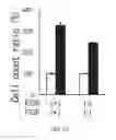 Fig. 24 - Cancer stem cell-specific molecule