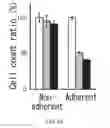 Fig. 25 - Cancer stem cell-specific molecule
