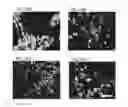Fig. 40 - Cancer stem cell-specific molecule