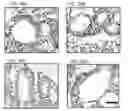 Fig. 41 - Cancer stem cell-specific molecule