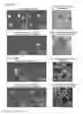 Fig. 44 - Cancer stem cell-specific molecule