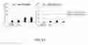Fig. 63 - Cancer stem cell-specific molecule