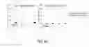 Fig. 66 - Cancer stem cell-specific molecule