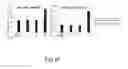 Fig. 69 - Cancer stem cell-specific molecule