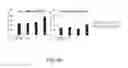 Fig. 71 - Cancer stem cell-specific molecule