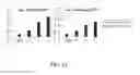 Fig. 74 - Cancer stem cell-specific molecule