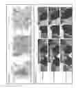 Fig. 23 - Compositions and methods for treatment of cancer