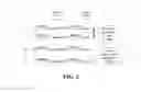 Fig. 04 - Covalent diabodies and uses thereof
