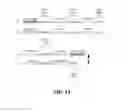 Fig. 16 - Covalent diabodies and uses thereof