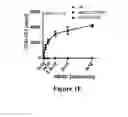 Fig. 04 - Isolated human mesenchymal stem cell expressing a bispecific antibody that binds CD33 and CD3