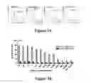 Fig. 07 - Isolated human mesenchymal stem cell expressing a bispecific antibody that binds CD33 and CD3