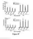 Fig. 08 - Isolated human mesenchymal stem cell expressing a bispecific antibody that binds CD33 and CD3