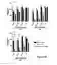 Fig. 10 - Isolated human mesenchymal stem cell expressing a bispecific antibody that binds CD33 and CD3