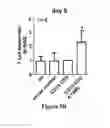 Fig. 12 - Isolated human mesenchymal stem cell expressing a bispecific antibody that binds CD33 and CD3