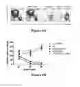 Fig. 13 - Isolated human mesenchymal stem cell expressing a bispecific antibody that binds CD33 and CD3