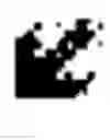 Fig. 02 - ANTI-cMET ANTIBODY