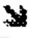 Fig. 03 - ANTI-cMET ANTIBODY