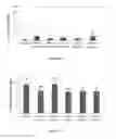 Fig. 05 - ANTI-cMET ANTIBODY