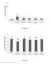 Fig. 06 - ANTI-cMET ANTIBODY