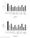 Fig. 10 - ANTI-cMET ANTIBODY