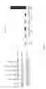 Fig. 33 - ANTI-cMET ANTIBODY