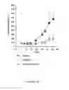 Fig. 34 - ANTI-cMET ANTIBODY