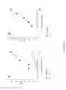 Fig. 35 - ANTI-cMET ANTIBODY